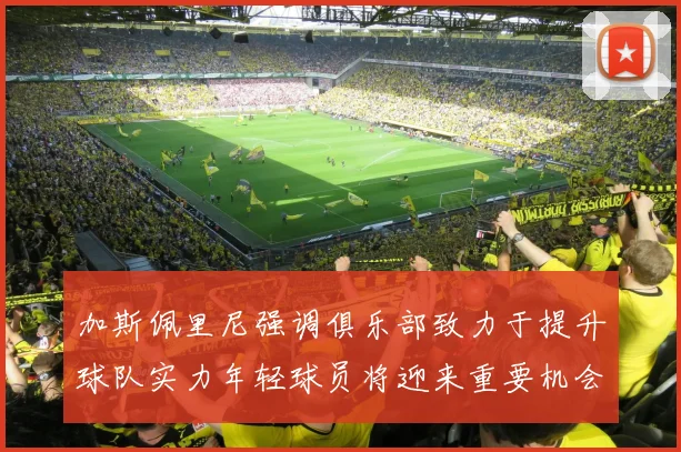 加斯佩里尼强调俱乐部致力于提升球队实力年轻球员将迎来重要机会
